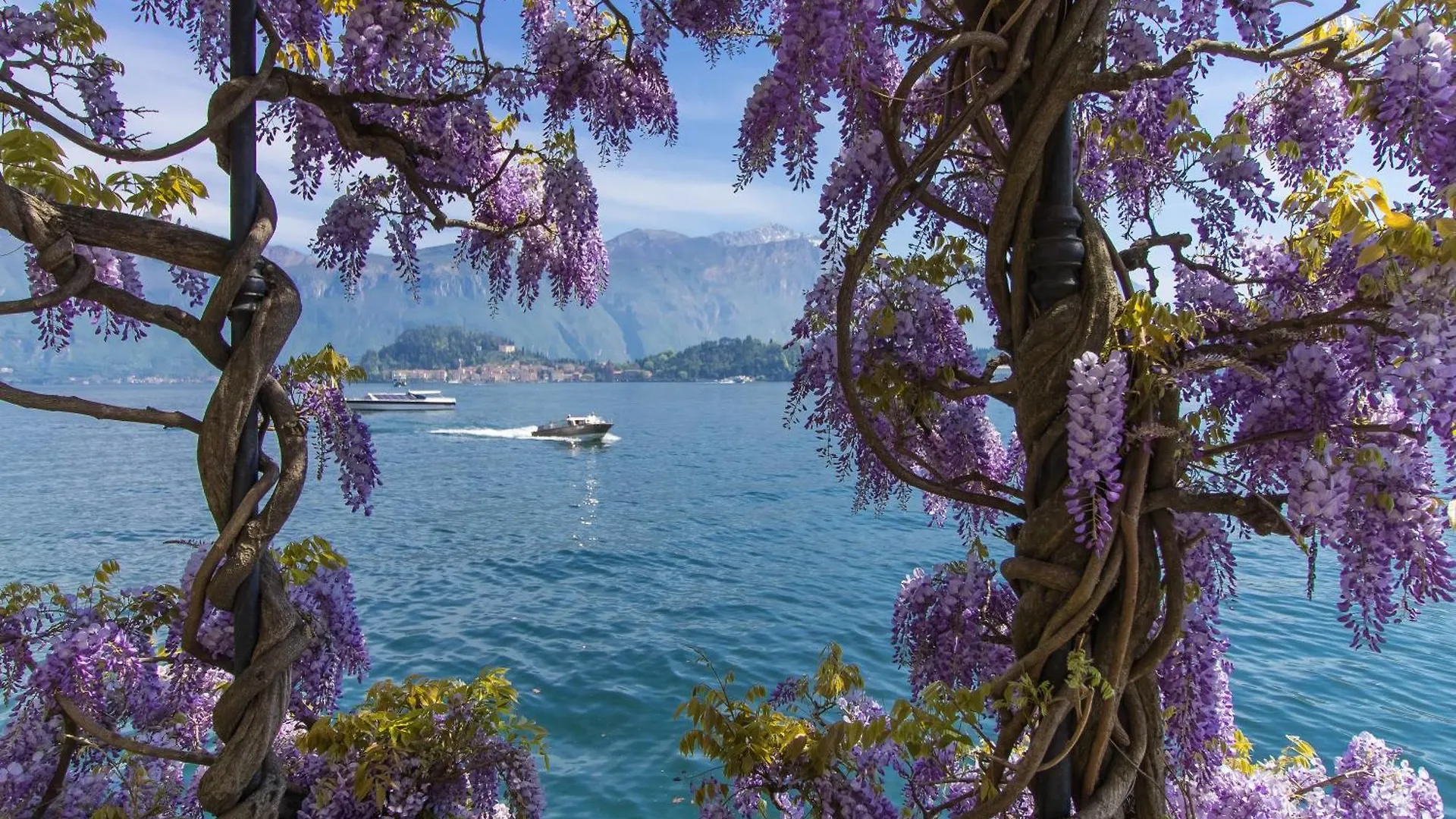 Villa Evelyn Terrazzo - Happy Rentals Menaggio Apartment